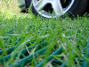 DW Grasgrid voor versteviging of bescherming van grasvelden
