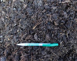 Afgeoogste champignoncompost - oganisch bodemverbetend middel