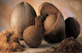 Kokoschips sierschors afkomstig van kokosnoot